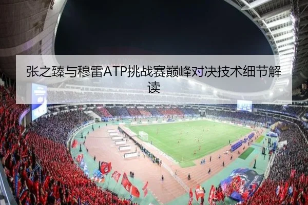 张之臻与穆雷ATP挑战赛巅峰对决技术细节解读（feisu）